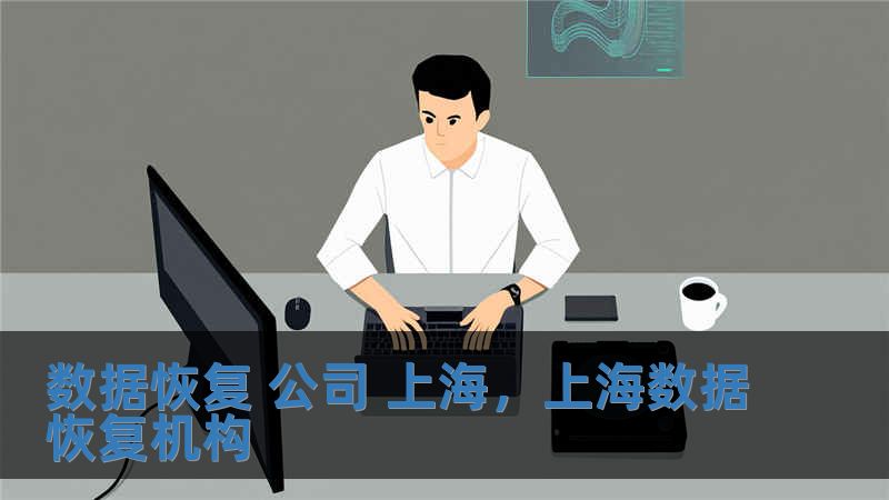 數(shù)據(jù)恢復(fù) 公司 上海，上海數(shù)據(jù)恢復(fù)機(jī)構(gòu)
