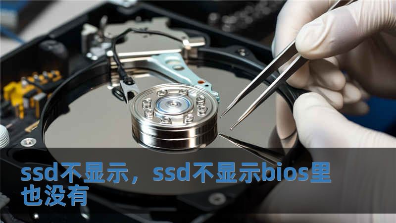 ssd不顯示，ssd不顯示bios里也沒有