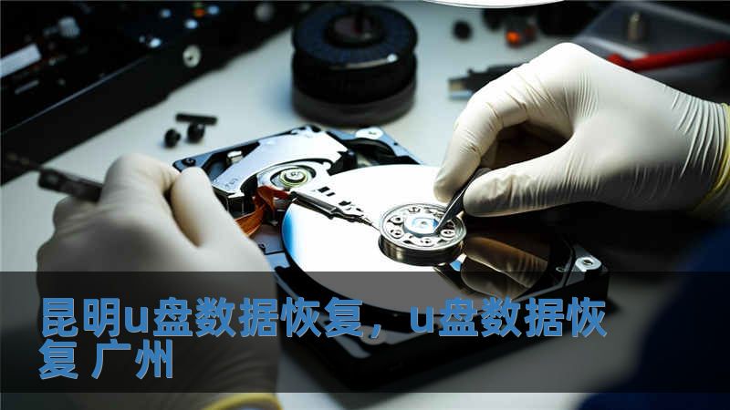 昆明u盤數據恢復，u盤數據恢復 廣州