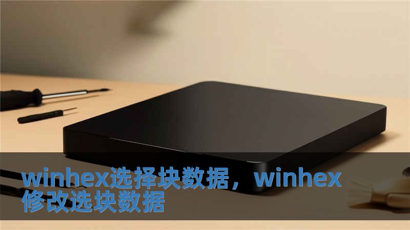 winhex選擇塊數據，winhex修改選塊數據