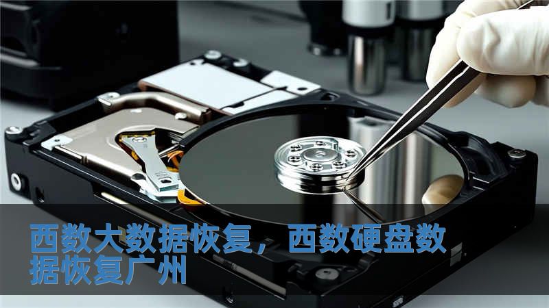 西數大數據恢復，西數硬盤數據恢復廣州