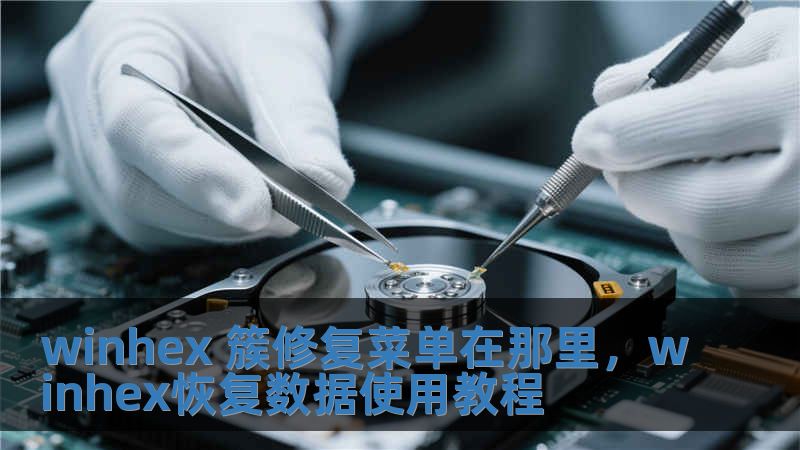 winhex 簇修復菜單在那里，winhex恢復數據使用教程