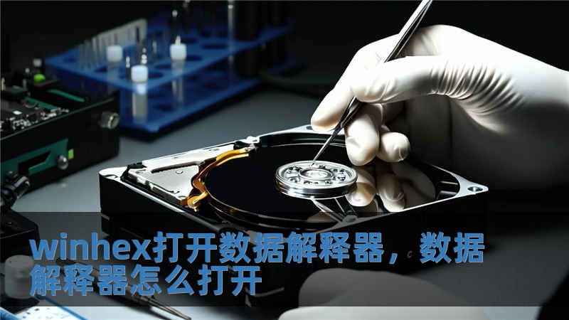 winhex打開數據解釋器，數據解釋器怎么打開