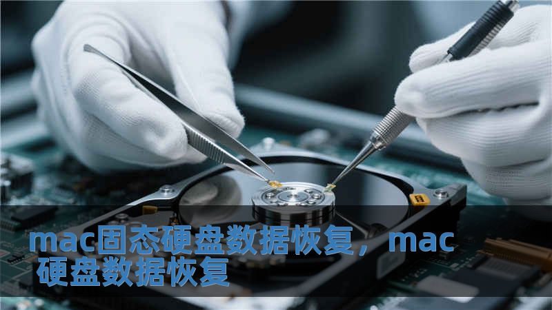 mac固態硬盤數據恢復，mac 硬盤數據恢復