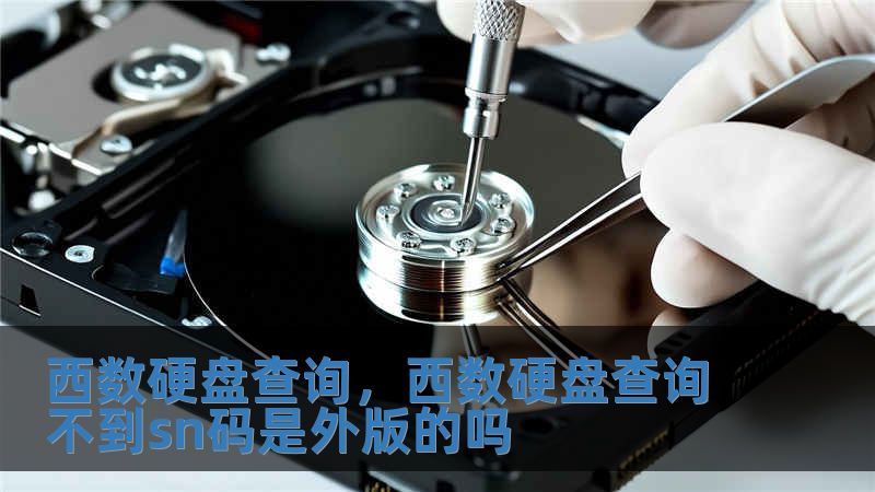 西數(shù)硬盤查詢，西數(shù)硬盤查詢不到sn碼是外版的嗎