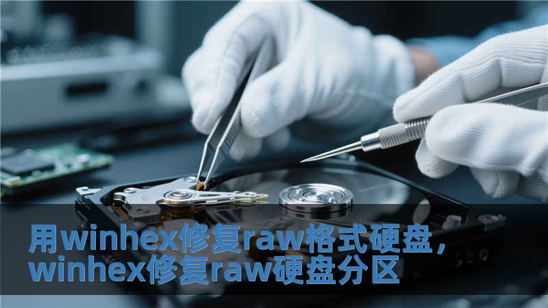 用winhex修復raw格式硬盤，winhex修復raw硬盤分區