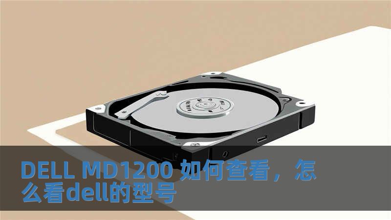 DELL MD1200 如何查看，怎么看dell的型號