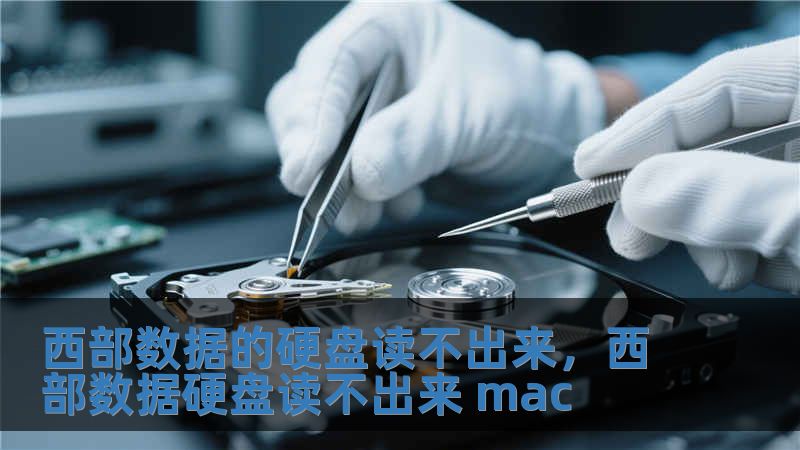 西部數(shù)據(jù)的硬盤讀不出來，西部數(shù)據(jù)硬盤讀不出來 mac