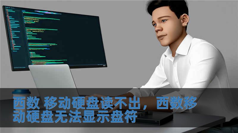 西數(shù) 移動(dòng)硬盤讀不出，西數(shù)移動(dòng)硬盤無法顯示盤符