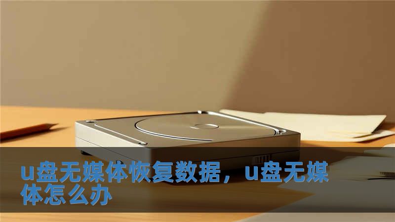 u盤無媒體恢復數據，u盤無媒體怎么辦