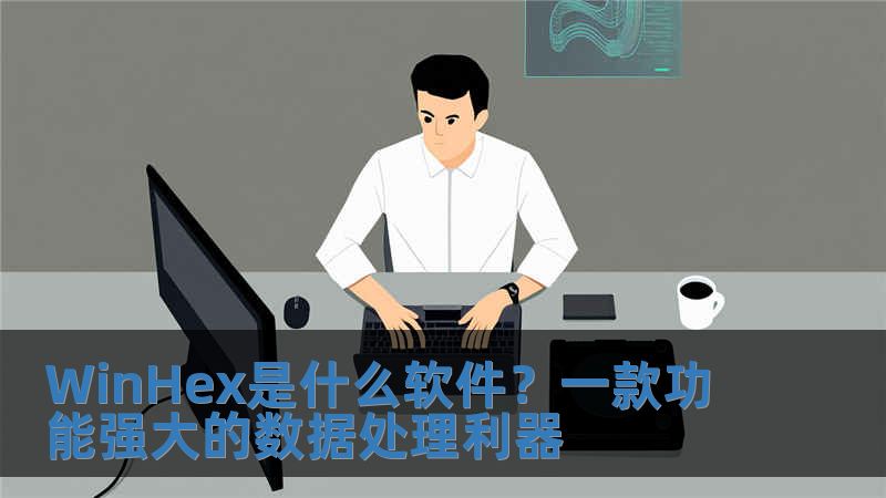 WinHex是什么軟件？一款功能強(qiáng)大的數(shù)據(jù)處理利器