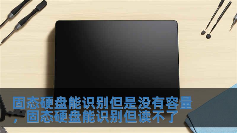 固態硬盤能識別但是沒有容量，固態硬盤能識別但讀不了