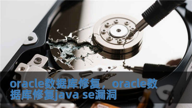 oracle數(shù)據(jù)庫修復(fù)，oracle數(shù)據(jù)庫修復(fù)java se漏洞
