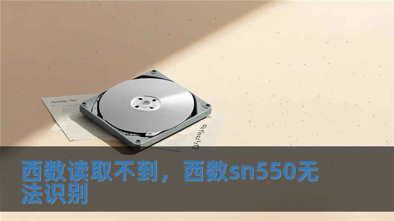 西數讀取不到，西數sn550無法識別