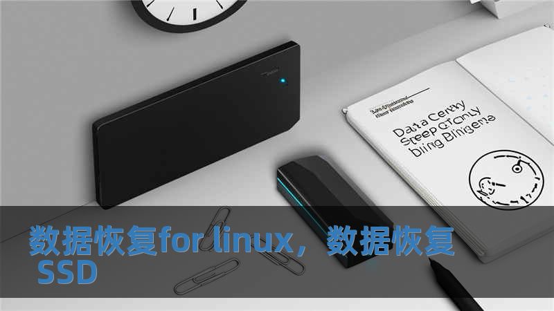 數據恢復for linux，數據恢復 SSD