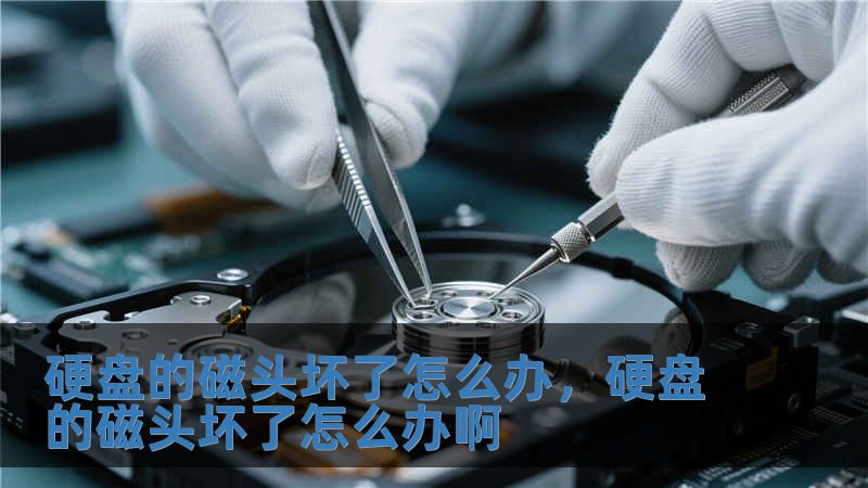 硬盤的磁頭壞了怎么辦，硬盤的磁頭壞了怎么辦啊