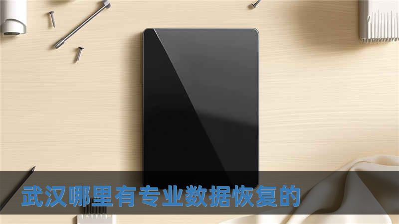 武漢哪里有專業(yè)數(shù)據(jù)恢復(fù)的