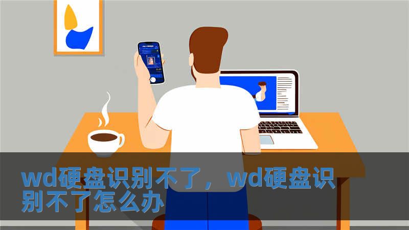 wd硬盤識(shí)別不了，wd硬盤識(shí)別不了怎么辦