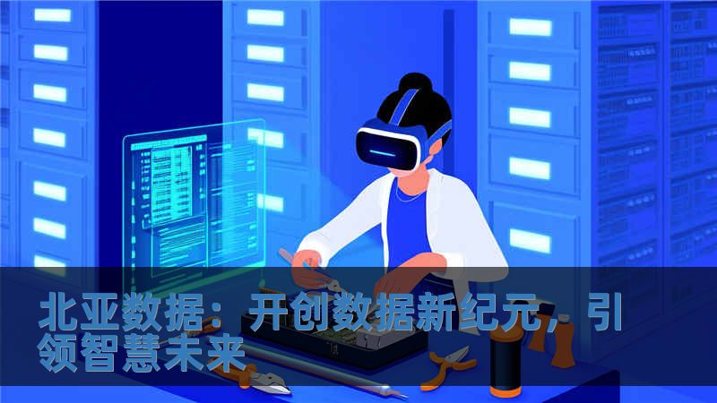 北亞數(shù)據(jù)：開(kāi)創(chuàng)數(shù)據(jù)新紀(jì)元，引領(lǐng)智慧未來(lái)