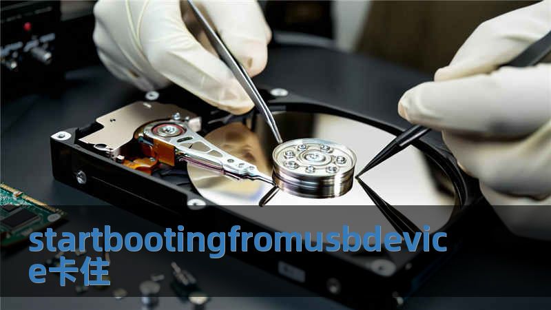 startbootingfromusbdevice卡住