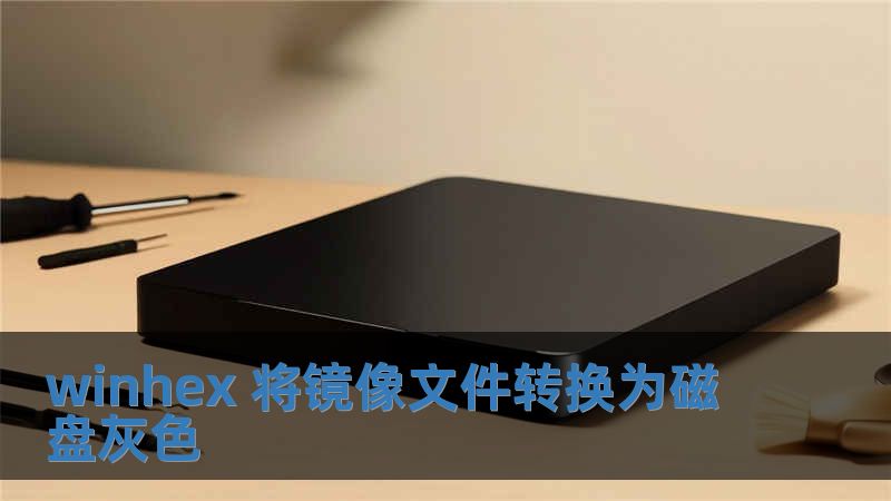 winhex 將鏡像文件轉換為磁盤灰色