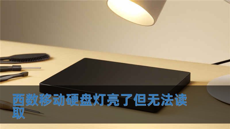 西數移動硬盤燈亮了但無法讀取