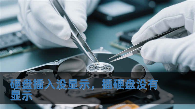 硬盤插入沒顯示，插硬盤沒有顯示