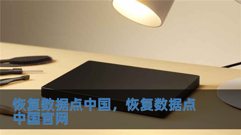 恢復(fù)數(shù)據(jù)點(diǎn)中國，恢復(fù)數(shù)據(jù)點(diǎn)中國官網(wǎng)