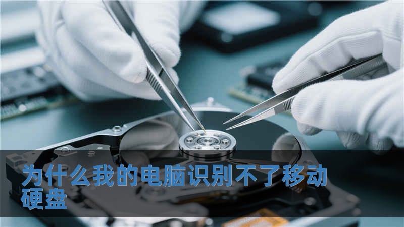 為什么我的電腦識(shí)別不了移動(dòng)硬盤(pán)
