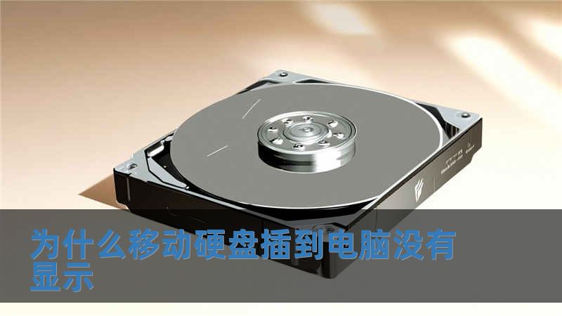 為什么移動硬盤插到電腦沒有顯示