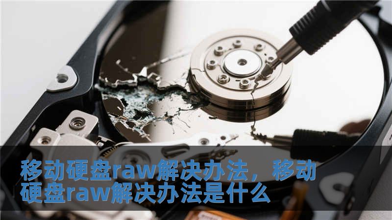 移動硬盤raw解決辦法，移動硬盤raw解決辦法是什么