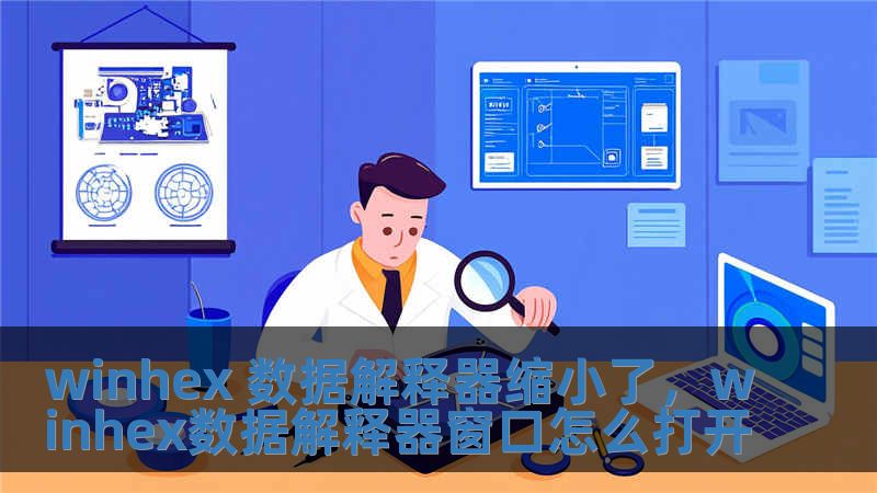 winhex 數據解釋器縮小了，winhex數據解釋器窗口怎么打開