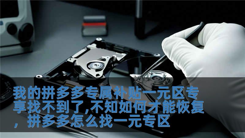 我的拼多多專(zhuān)屬補(bǔ)貼一元區(qū)專(zhuān)享找不到了,不知如何才能恢復(fù)，拼多多怎么找一元專(zhuān)區(qū)