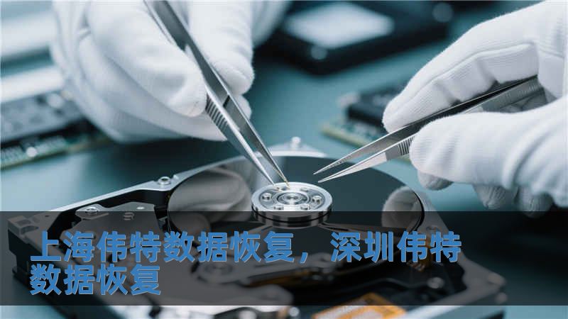 上海偉特?cái)?shù)據(jù)恢復(fù)，深圳偉特?cái)?shù)據(jù)恢復(fù)