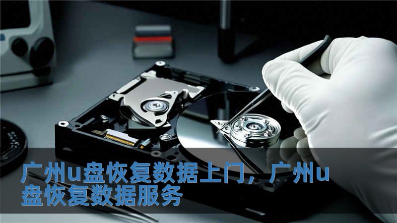 廣州u盤恢復數據上門，廣州u盤恢復數據服務