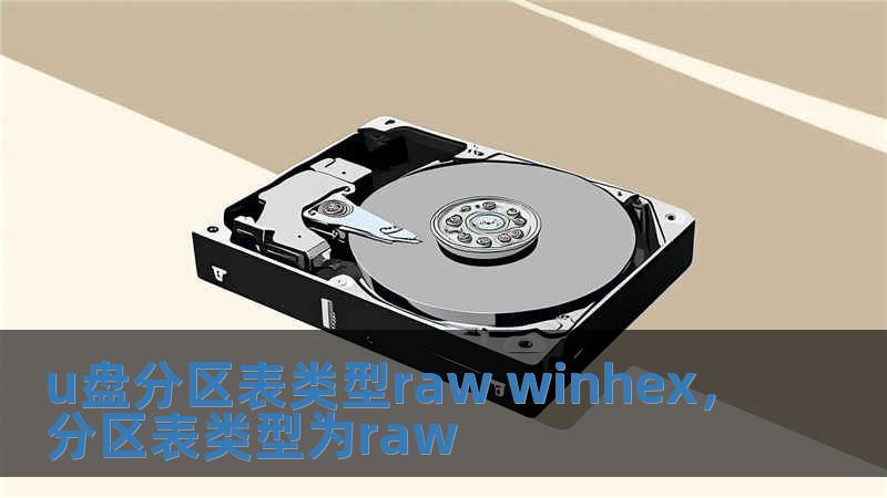 u盤分區表類型raw winhex，分區表類型為raw