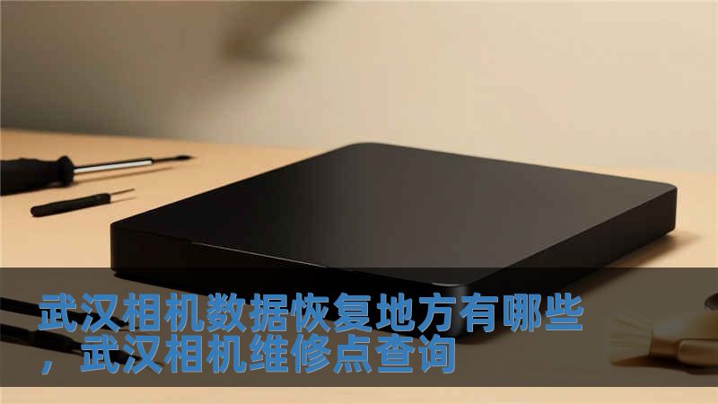 武漢相機數據恢復地方有哪些，武漢相機維修點查詢