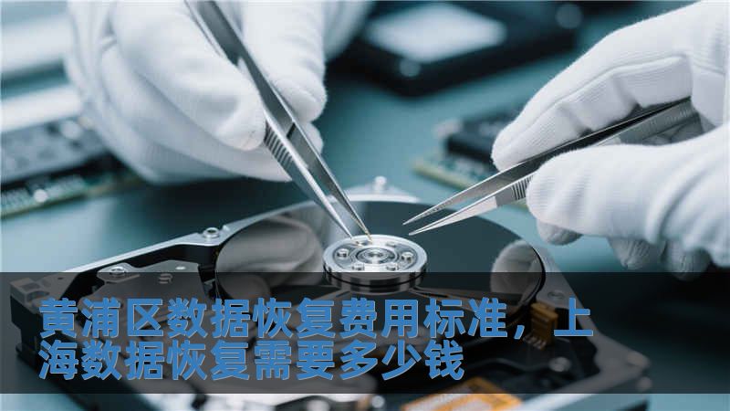 黃浦區(qū)數(shù)據(jù)恢復(fù)費(fèi)用標(biāo)準(zhǔn)，上海數(shù)據(jù)恢復(fù)需要多少錢