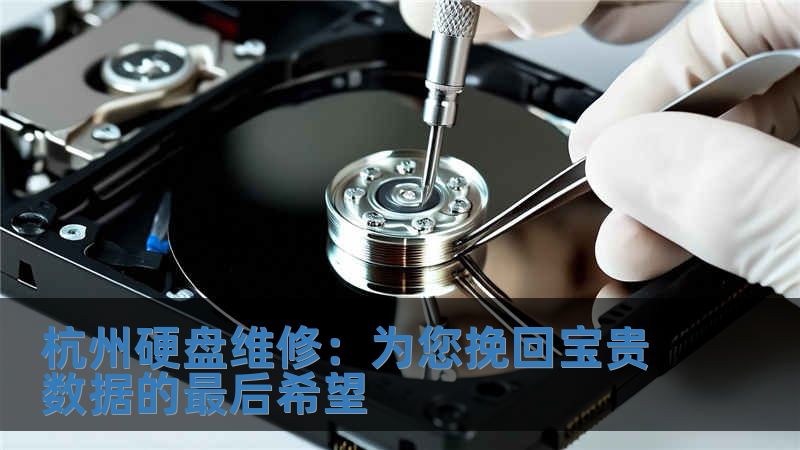 杭州硬盤維修：為您挽回寶貴數(shù)據(jù)的最后希望