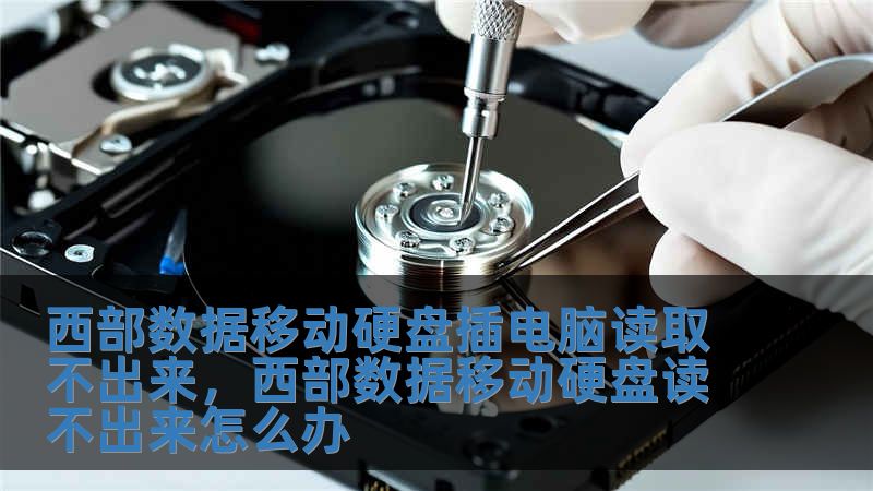 西部數(shù)據(jù)移動(dòng)硬盤插電腦讀取不出來，西部數(shù)據(jù)移動(dòng)硬盤讀不出來怎么辦