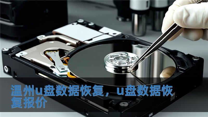 溫州u盤數據恢復，u盤數據恢復報價