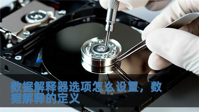 數(shù)據(jù)解釋器選項怎么設(shè)置，數(shù)據(jù)解釋的定義