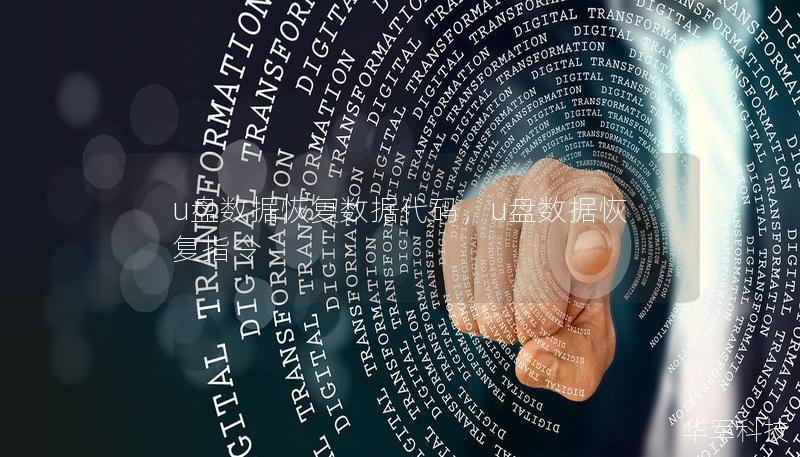 u盤數(shù)據(jù)恢復(fù)數(shù)據(jù)代碼,u盤數(shù)據(jù)恢復(fù)指令 u盤數(shù)據(jù)恢復(fù)數(shù)據(jù)代碼,u盤數(shù)據(jù)恢復(fù)指令