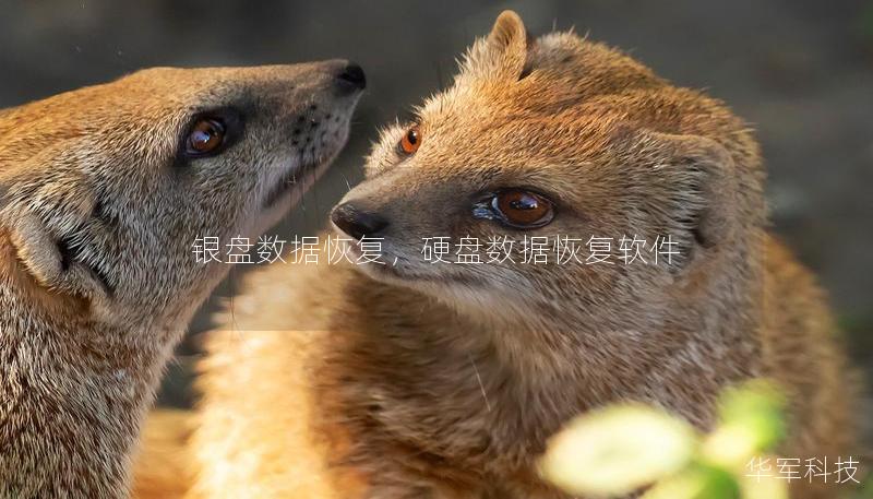 銀盤數據恢復，硬盤數據恢復軟件