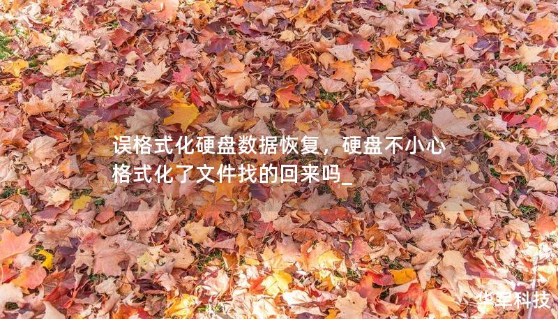 誤格式化硬盤數據恢復，硬盤不小心格式化了文件找的回來嗎_