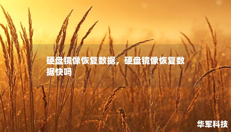 硬盤鏡像恢復數據，硬盤鏡像恢復數據快嗎