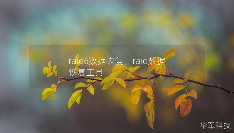 raid6數(shù)據(jù)恢復(fù)，raid數(shù)據(jù)恢復(fù)工具