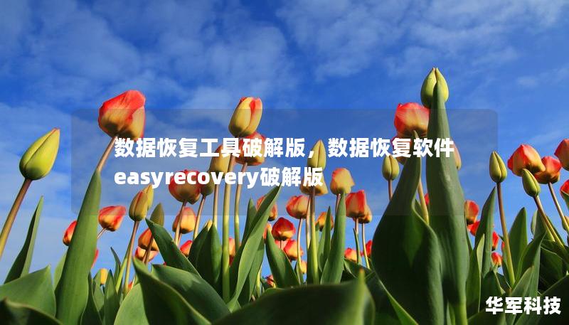 數(shù)據(jù)恢復(fù)工具破解版，數(shù)據(jù)恢復(fù)軟件easyrecovery破解版