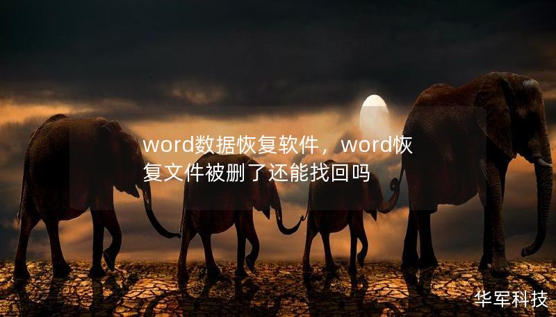 word數(shù)據(jù)恢復(fù)軟件，word恢復(fù)文件被刪了還能找回嗎