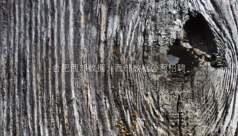 合肥西部數(shù)據(jù)，西部數(shù)據(jù)公司招聘